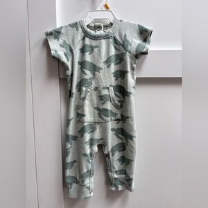 Kate Quinn Baby Romper in Light Green with Turtle Motif Size 3-6M
